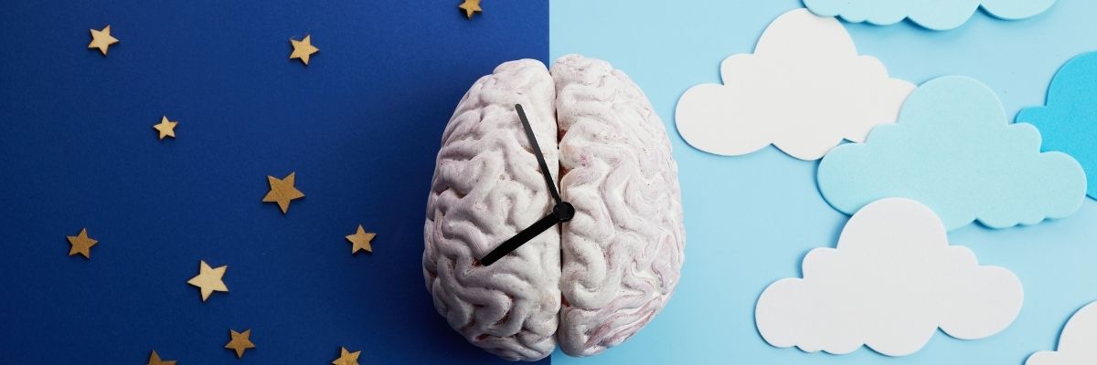 Sirkadiyen Ritim ve Başarı