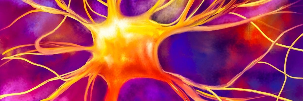 Vagus Siniri ve Huzur